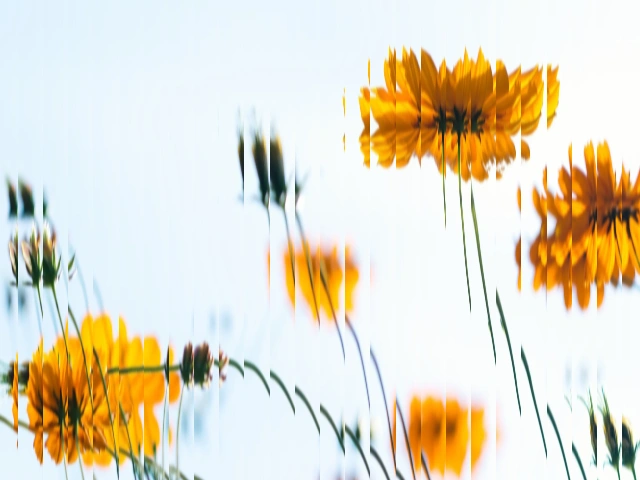 Preview of fluted glass